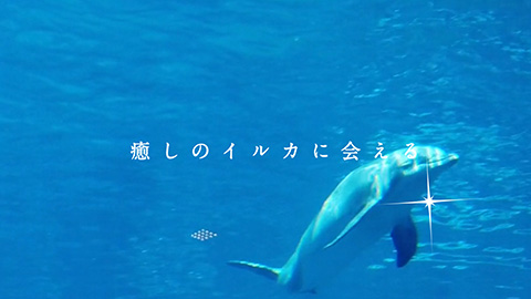 水族館の案内動画